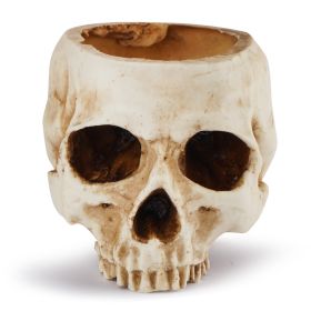 Modern Resin Skull Shaped Head Design pots Head Model Decoration Flower Planter Props