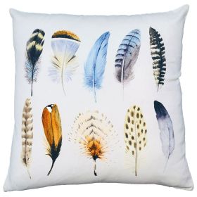 20 x 20 Modern Square Cotton Accent Throw Pillow; Printed Feather Patterned Design; White; Multicolor