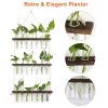 3-Tier Wall Hanging Planter Glass Hydroponic Vase Plant Flower Propagation Tube Planter Terrarium with Wooden Stand