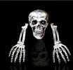 Halloween Decor Realistic Skull Hand Bone Skull Props Skull Ornaments