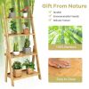 Living Room 4-Tier Bamboo Ladder Display Shelf Storage Rack Plant Flower Stand